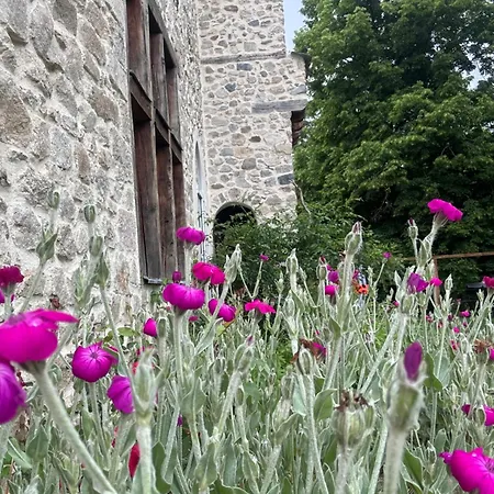 ベッド・アンド・ブレックファスト Domaine De La Dorliere