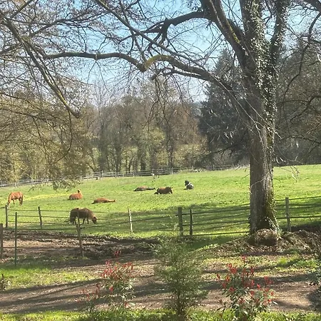 Domaine De La Dorliere ベッド・アンド・ブレックファスト