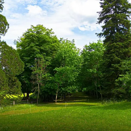 Domaine De La Dorliere